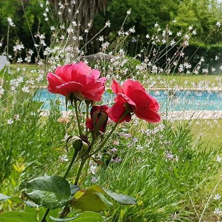 Hopefield Country House Addo Luaran gambar