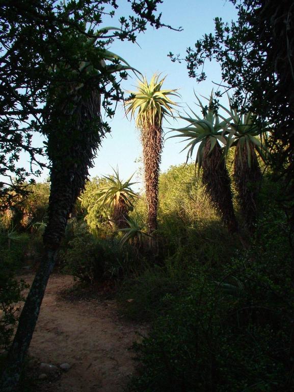 Hopefield Country House Addo Luaran gambar