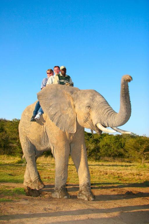 Hopefield Country House Addo Luaran gambar