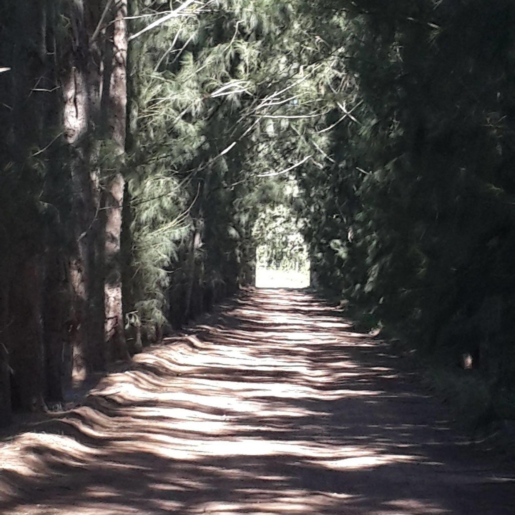 Hopefield Country House Addo Luaran gambar
