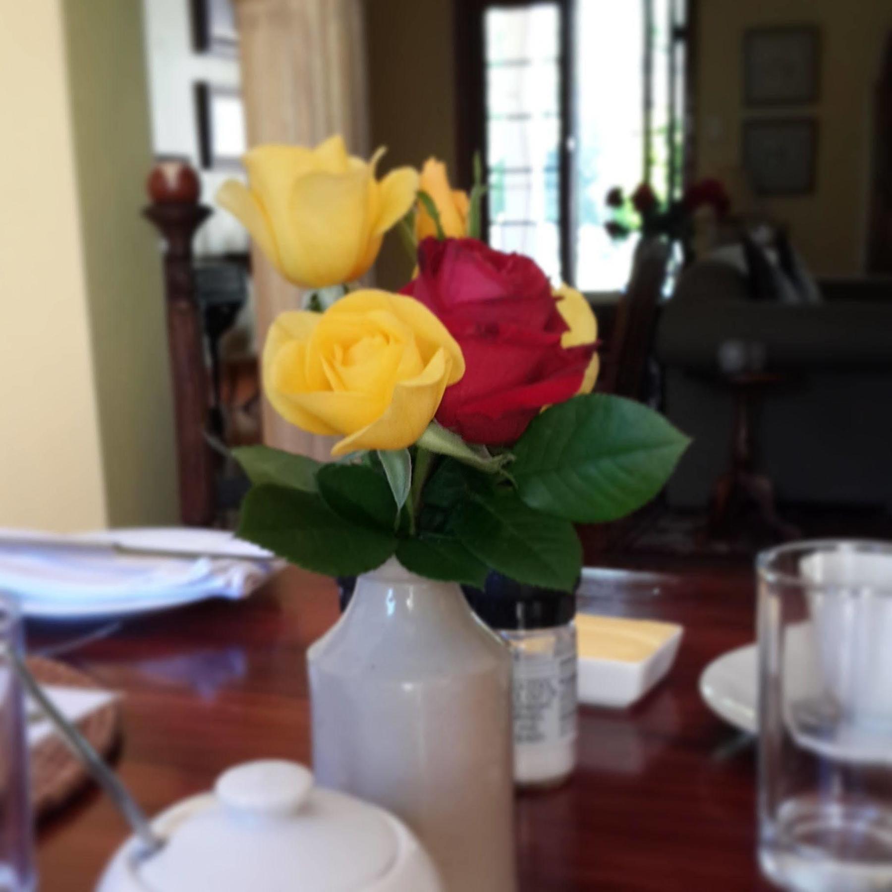 Hopefield Country House Addo Luaran gambar