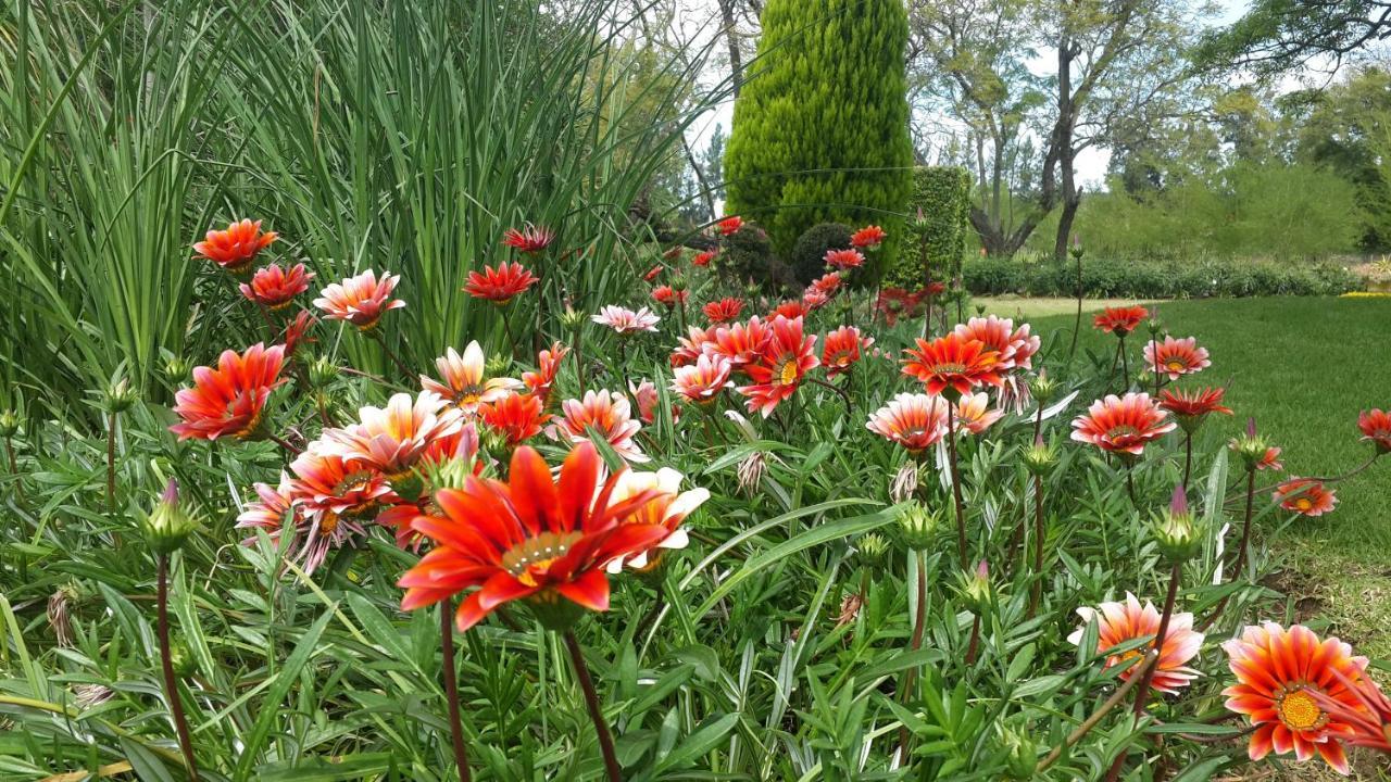 Hopefield Country House Addo Luaran gambar