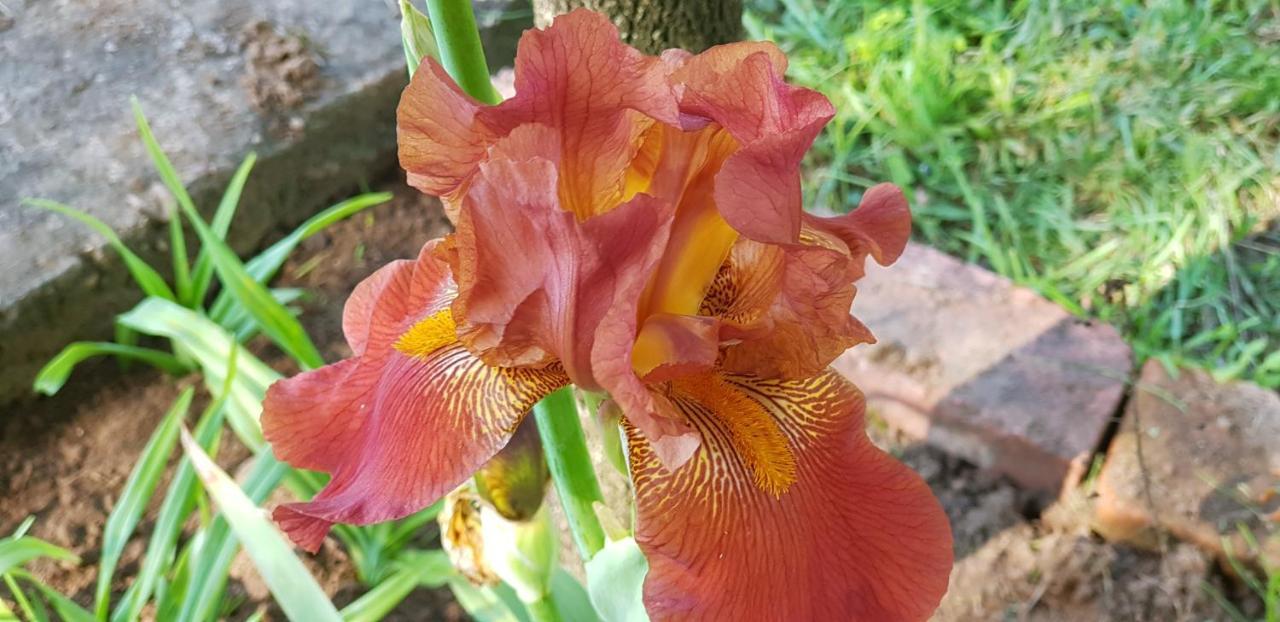 Hopefield Country House Addo Luaran gambar